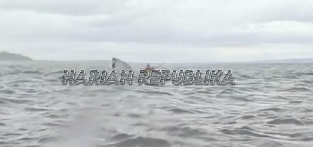 Heboh Video Paus Bungkuk Muntahkan Manusia