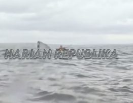 Heboh Video Paus Bungkuk Muntahkan Manusia